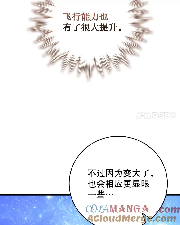 《噬龙魔法师》54.是他杀的 第41页