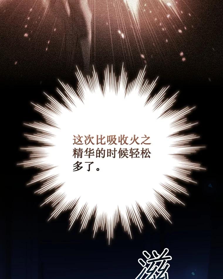 《噬龙魔法师》54.是他杀的 第8页