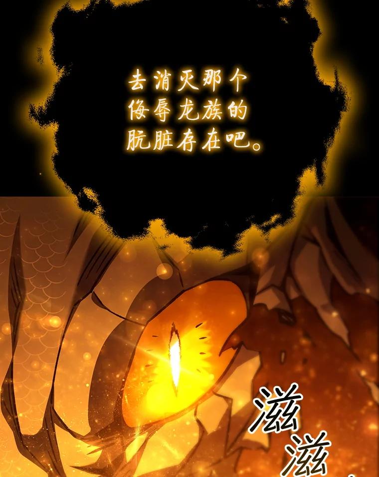 《噬龙魔法师》56.英雄诞生 第6页