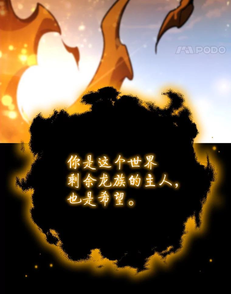 《噬龙魔法师》56.英雄诞生 第11页