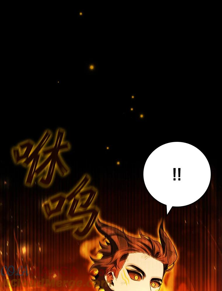 《噬龙魔法师》56.英雄诞生 第13页