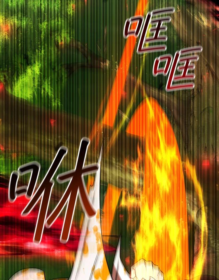《噬龙魔法师》56.英雄诞生 第72页