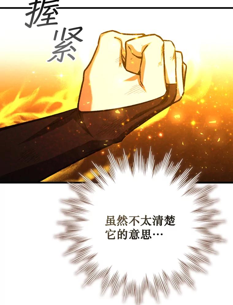 《噬龙魔法师》56.英雄诞生 第16页