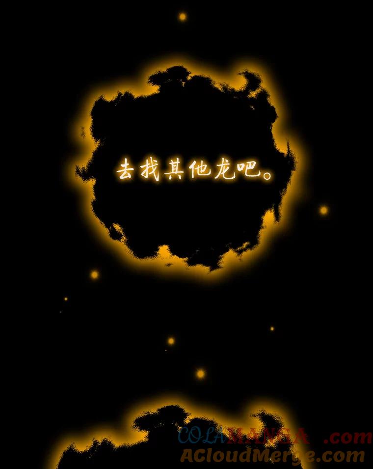 《噬龙魔法师》56.英雄诞生 第9页