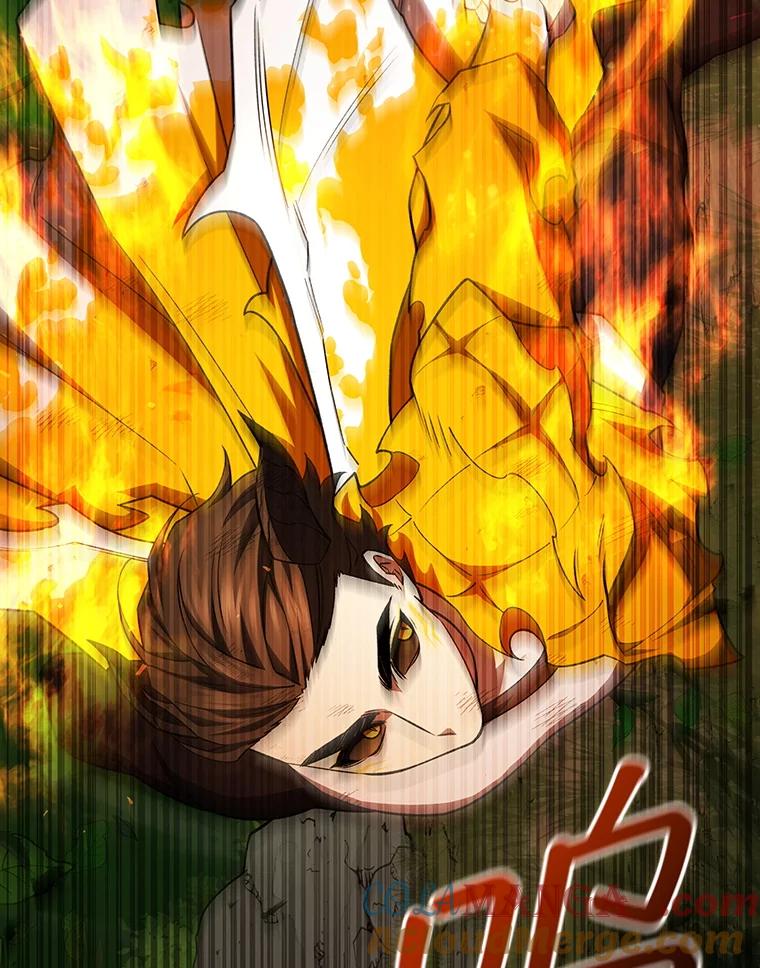 《噬龙魔法师》56.英雄诞生 第73页