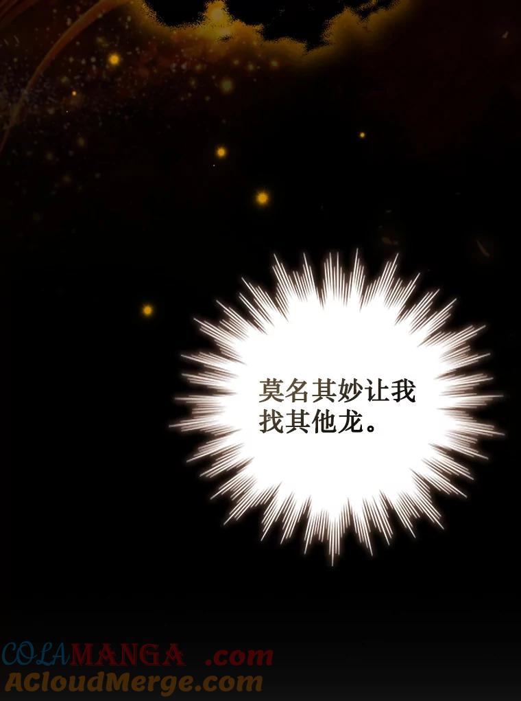 《噬龙魔法师》57.年下男 第13页