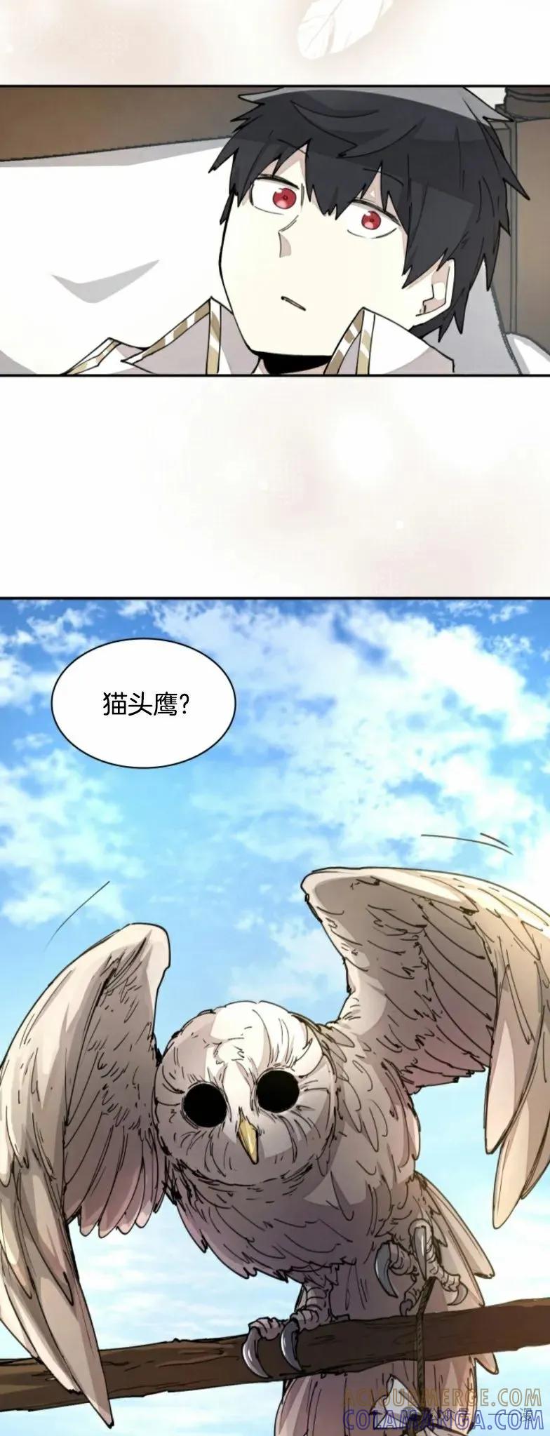 《勇者转世的大魔法师》第17集 第29页
