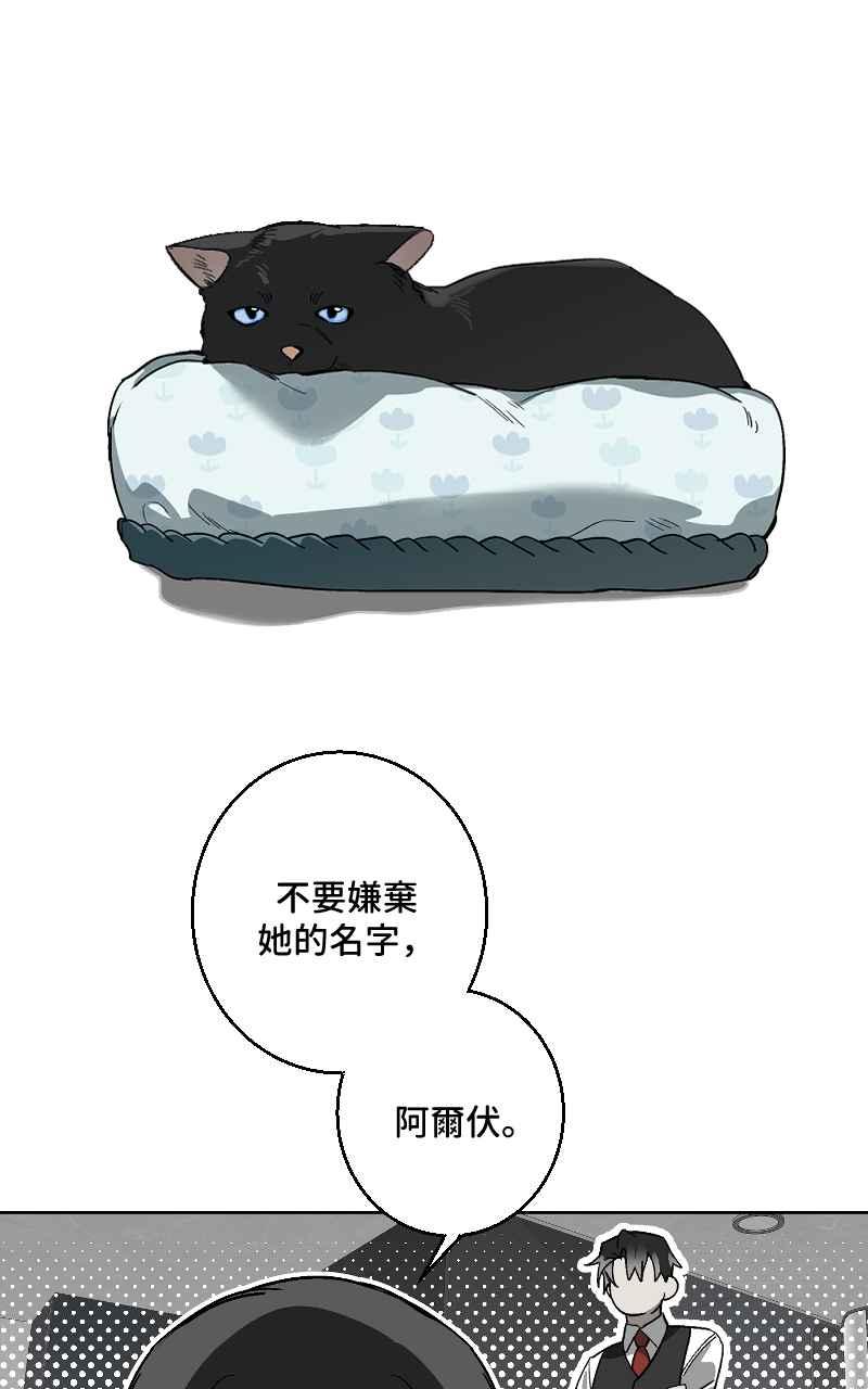 《魔王先生有点奇怪》第48话 第12页