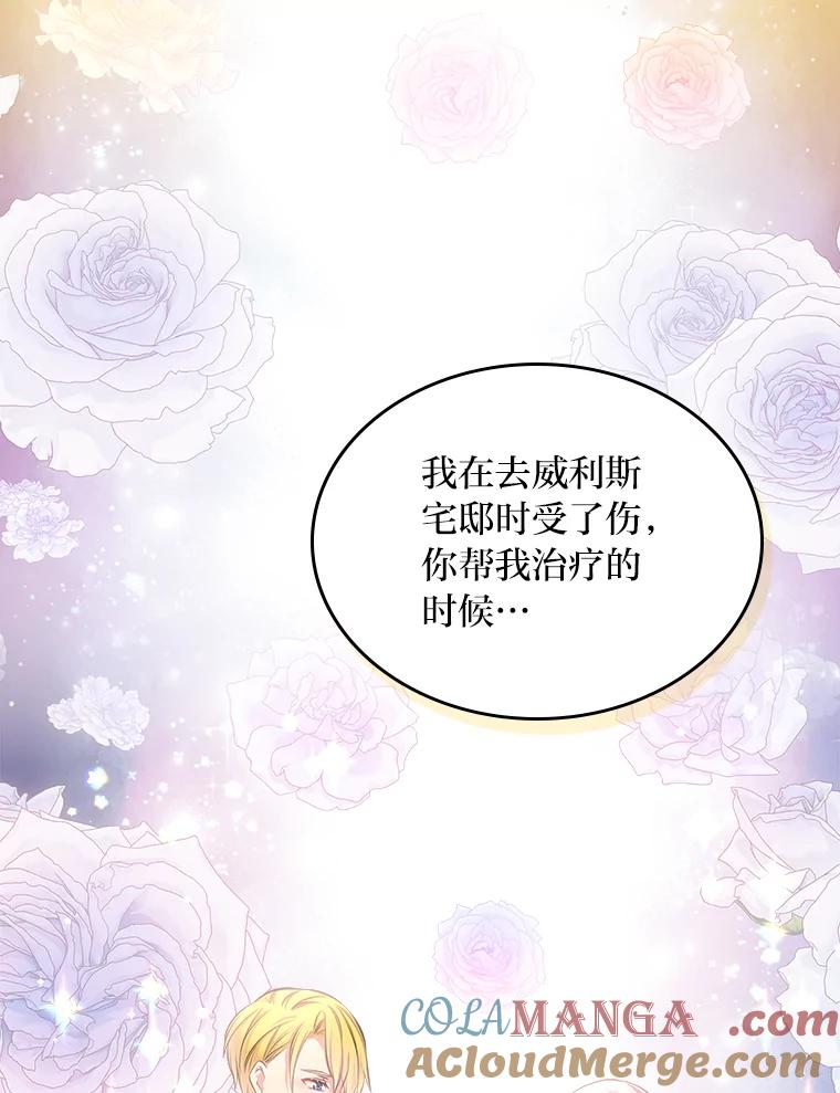 《我要和女主的妹控哥哥离婚》41.再见，里安德罗 第33页