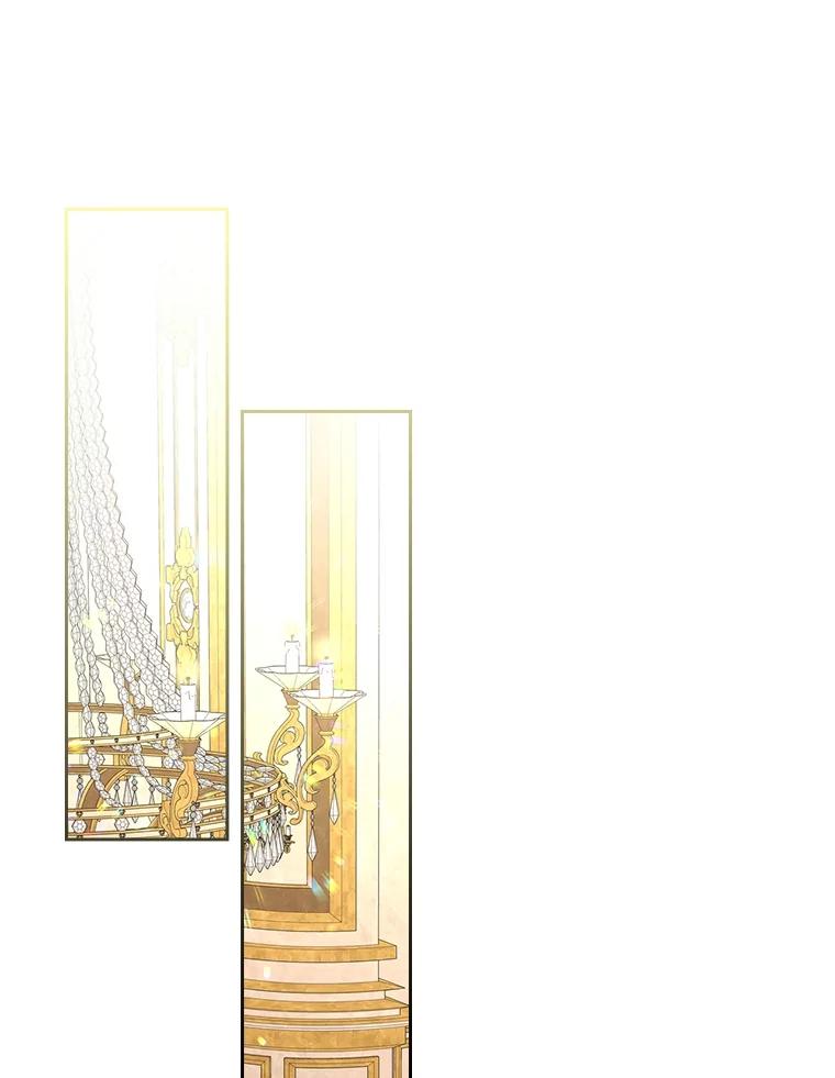 《我要和女主的妹控哥哥离婚》46.生日宴 第100页
