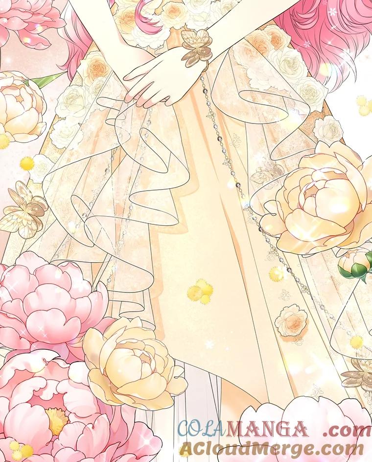 《我要和女主的妹控哥哥离婚》46.生日宴 第85页