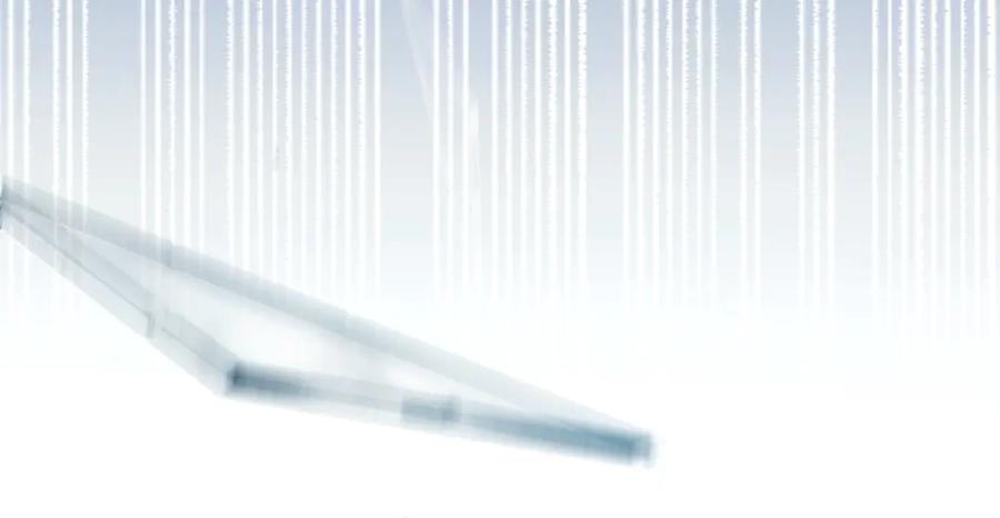 默许侵占 - 第50话 疯癫的国王 - 第164张图