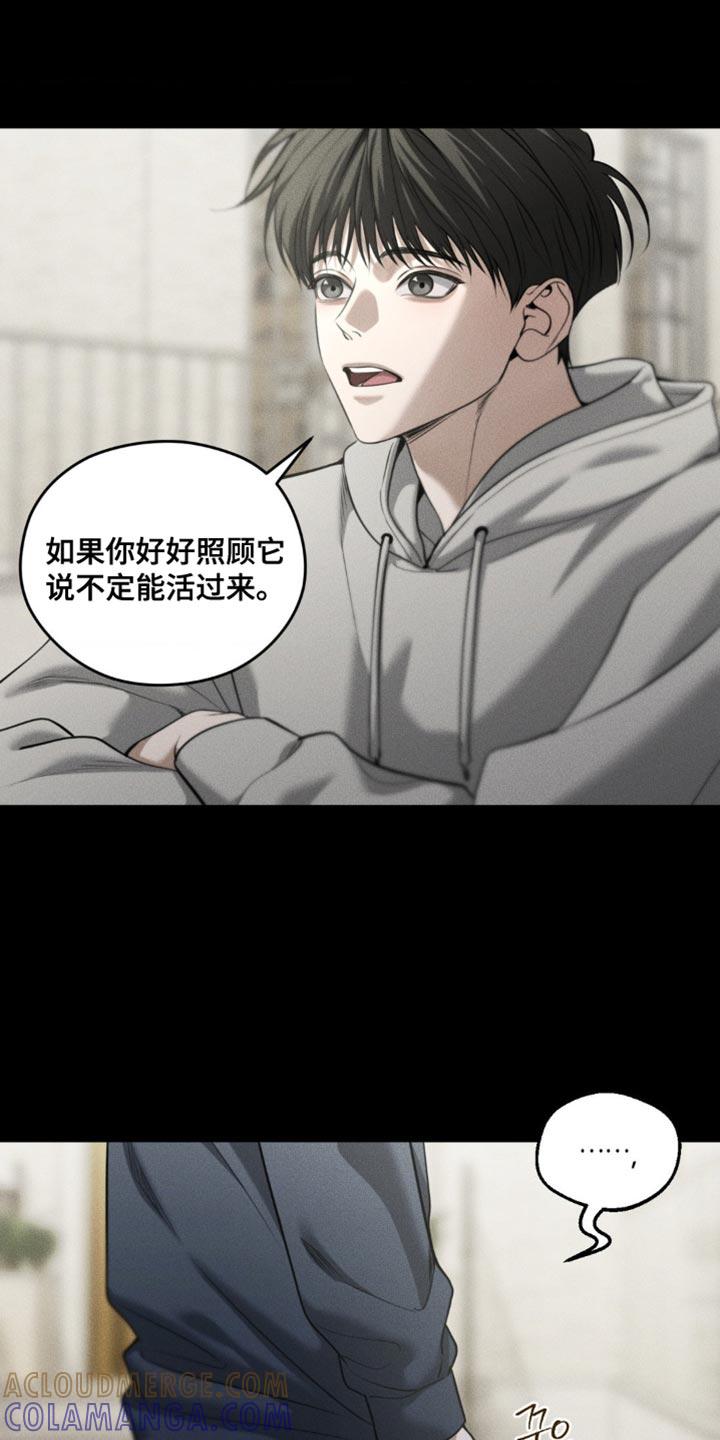 《纯白的假象》第102章：【第二季】奇怪的误会 第31页