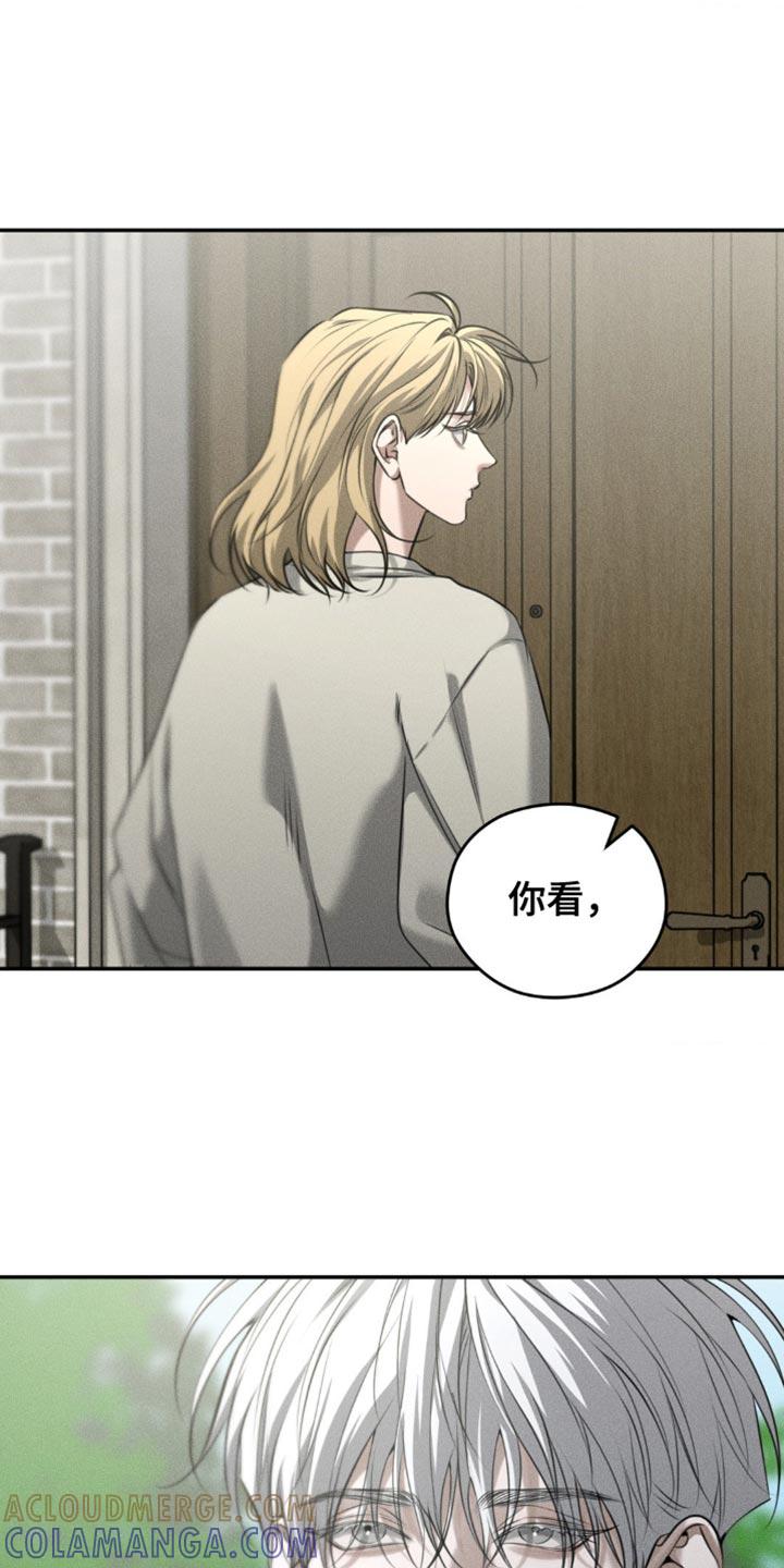 《纯白的假象》第106章：【第二季】我有个礼物要送你 第17页
