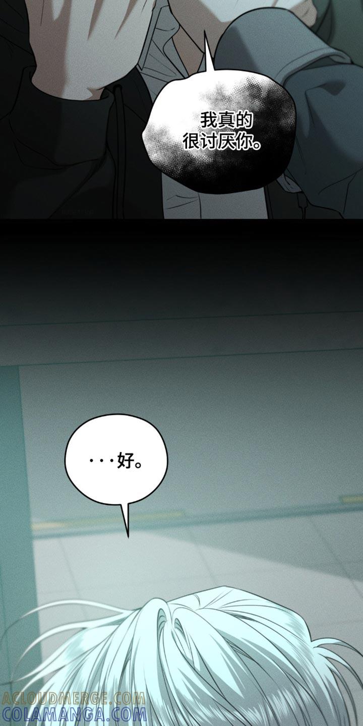 《纯白的假象》第106章：【第二季】我有个礼物要送你 第5页