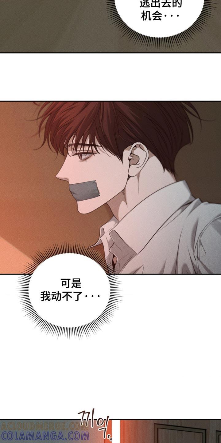 《纯白的假象》第106章：【第二季】我有个礼物要送你 第11页