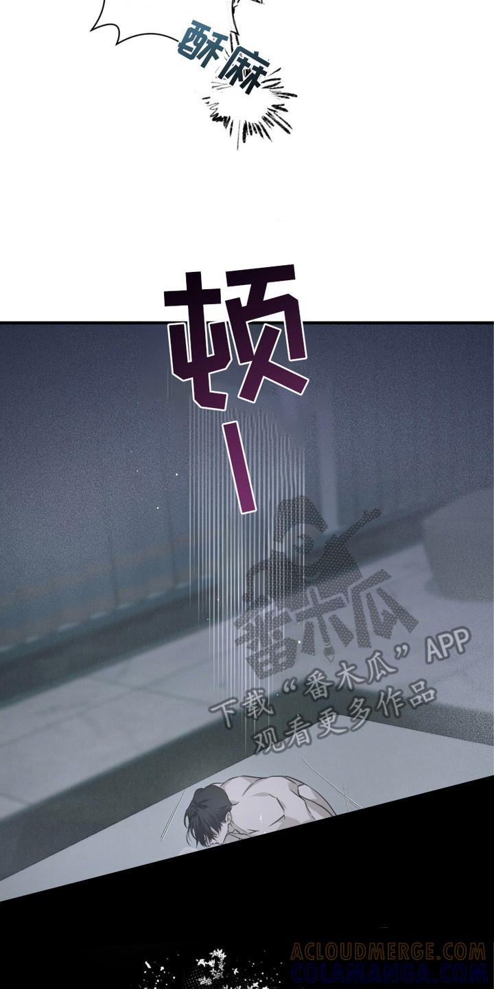 《绝命扣押》第11章：很可怜 第17页