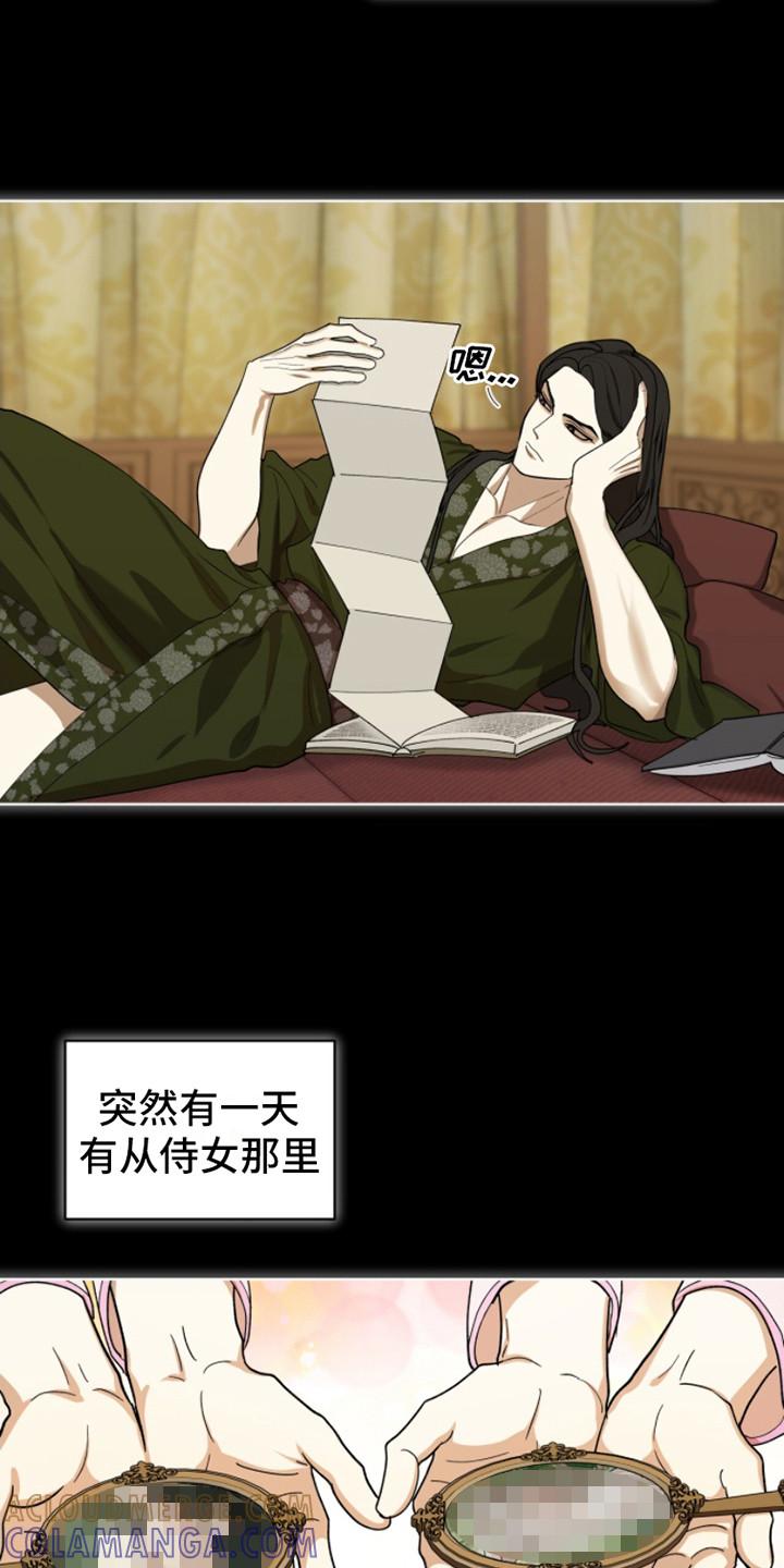 《魔影护卫》第13章：非常失望 第9页