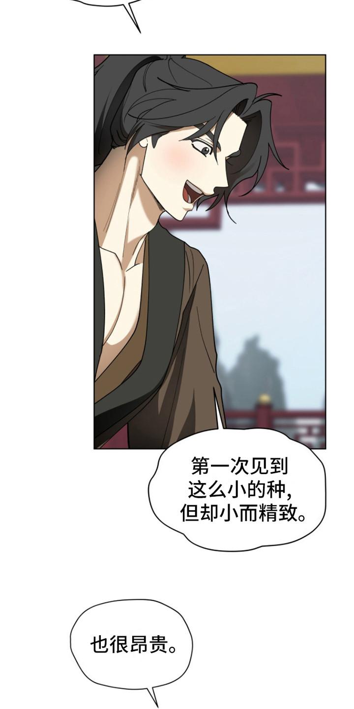 《魔影护卫》第14章：名酒 第18页