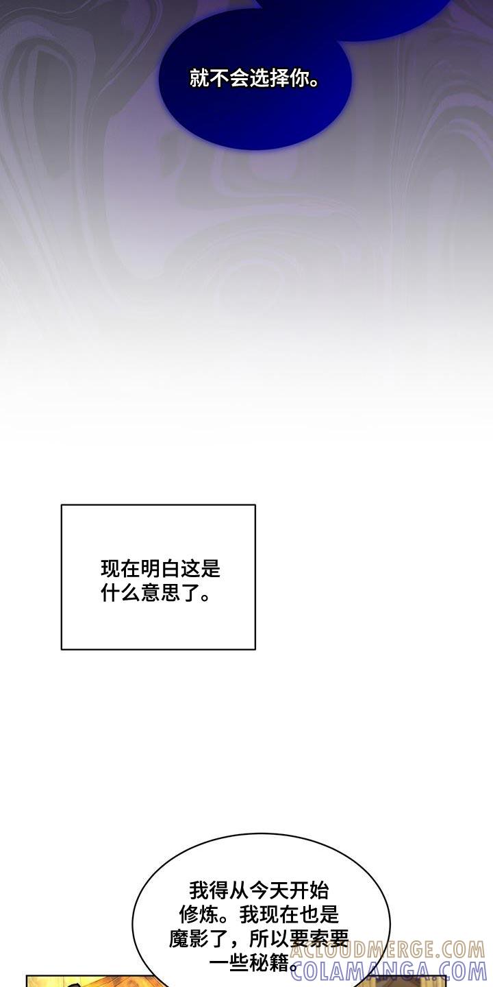 《魔影护卫》第16章：正派侠客 第9页