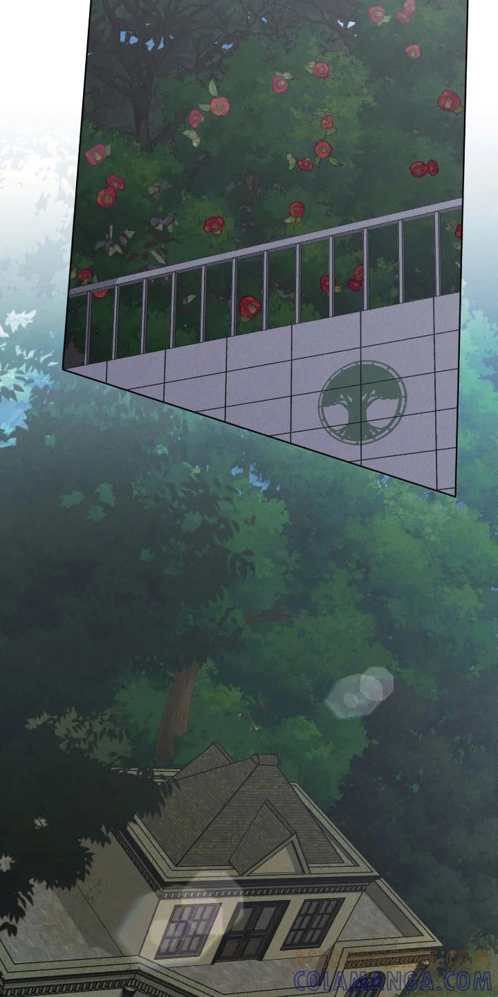 《彩虹城》第164章：【第三季】最后希望 第3页