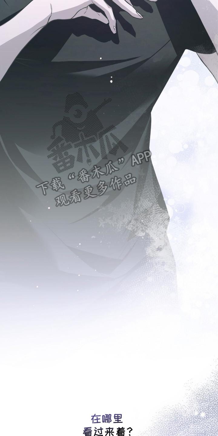 《绝命扣押》第17章：该死的爱 第8页