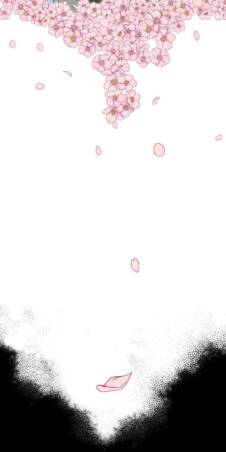 《魔影护卫》第19章：内幕 第16页