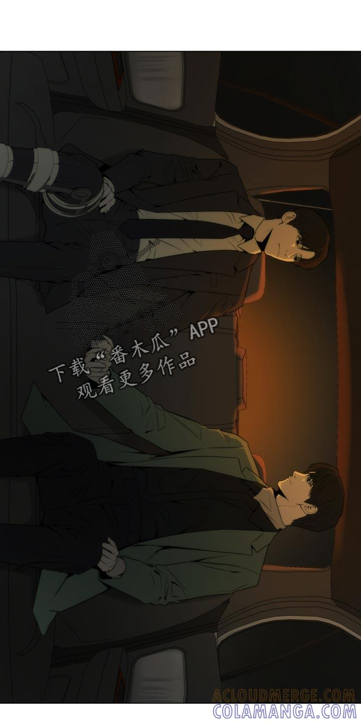 《致命诱饵》第24章：亲手抓我 第25页