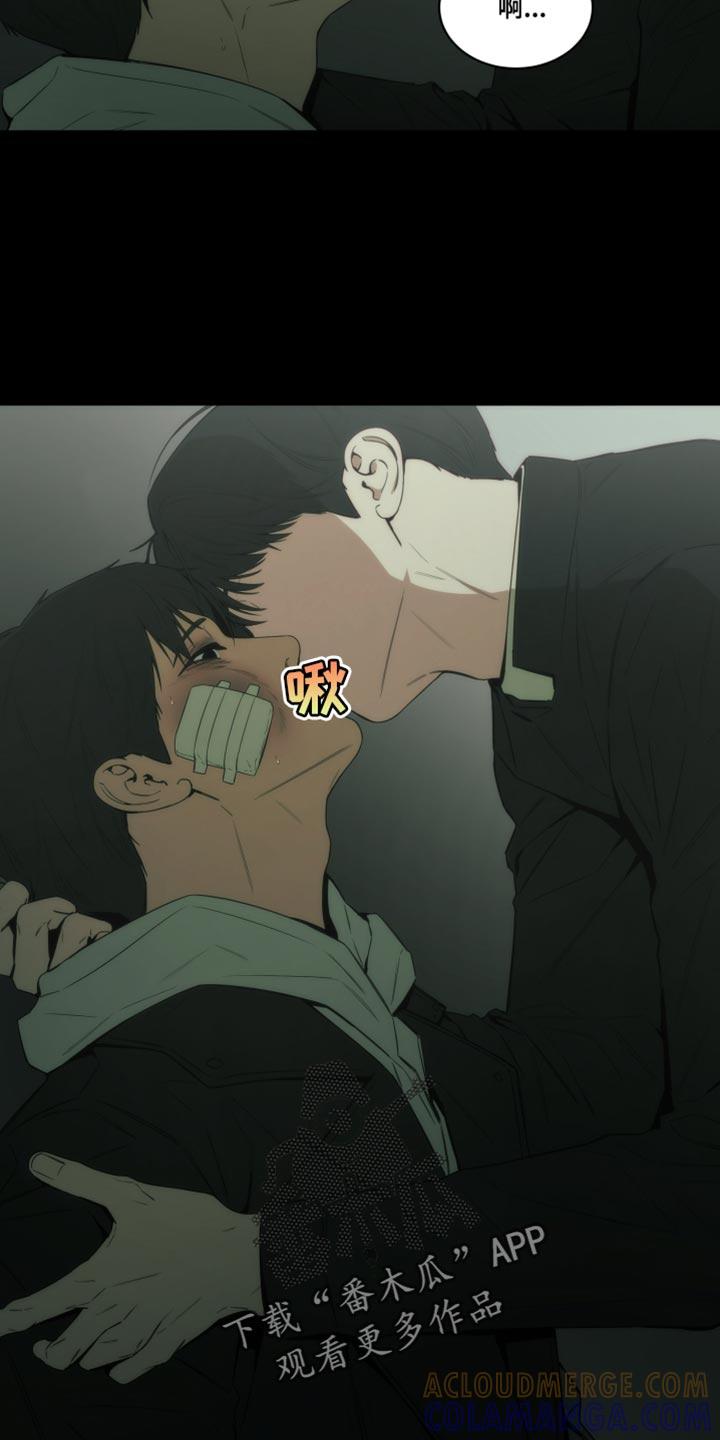 《致命诱饵》第30章：床底下的照片 第13页