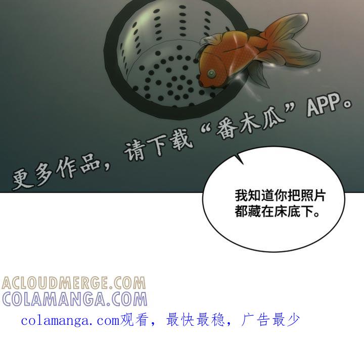 《致命诱饵》第32章：我没有说谎 第19页