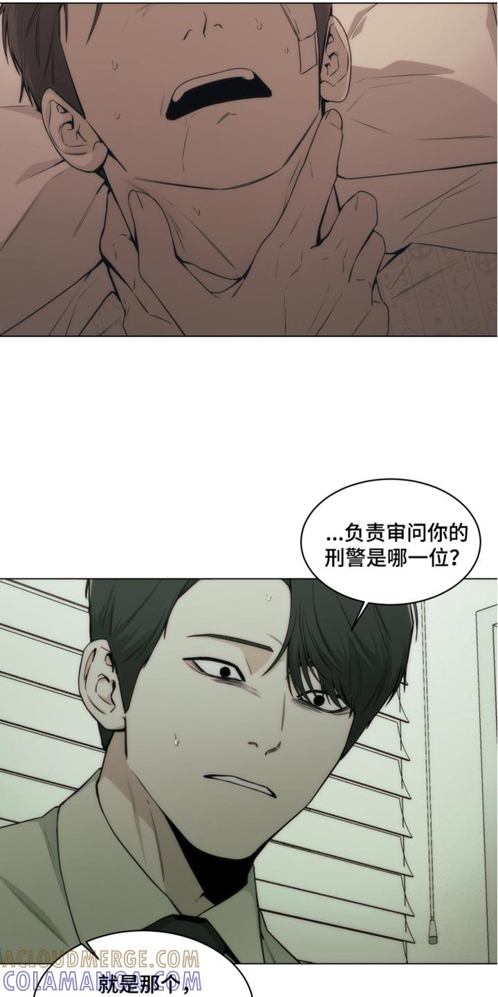 《致命诱饵》第35章：我警告过你了 第15页