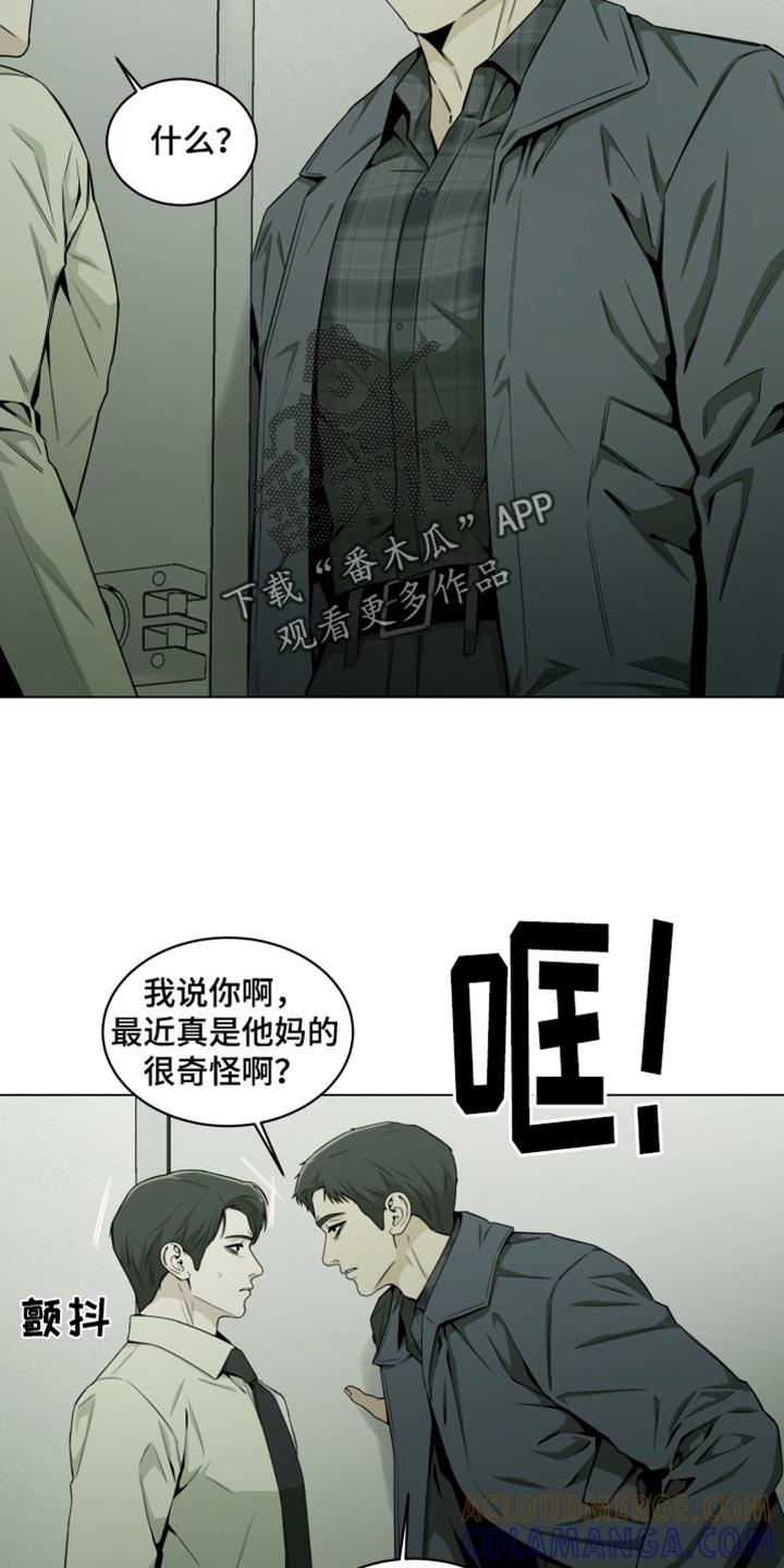 《致命诱饵》第35章：我警告过你了 第19页
