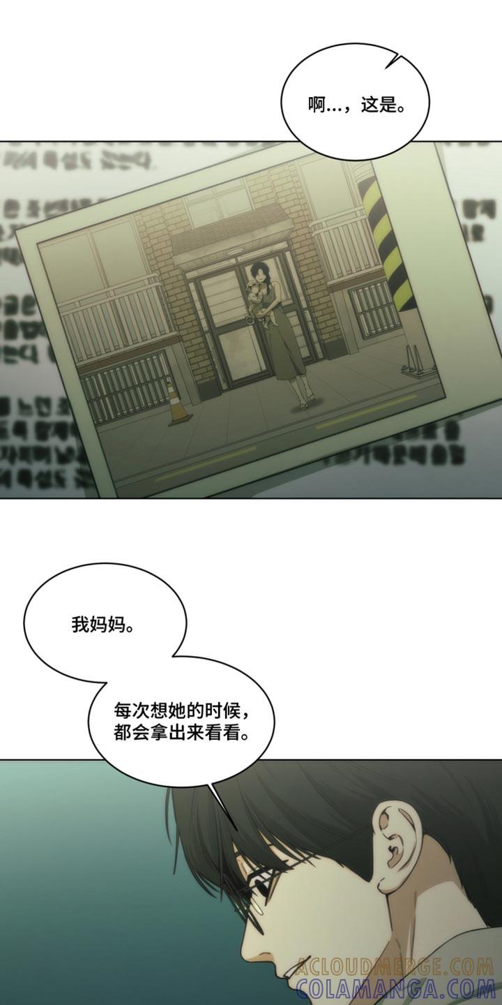 《致命诱饵》第37章：新爱好 第13页