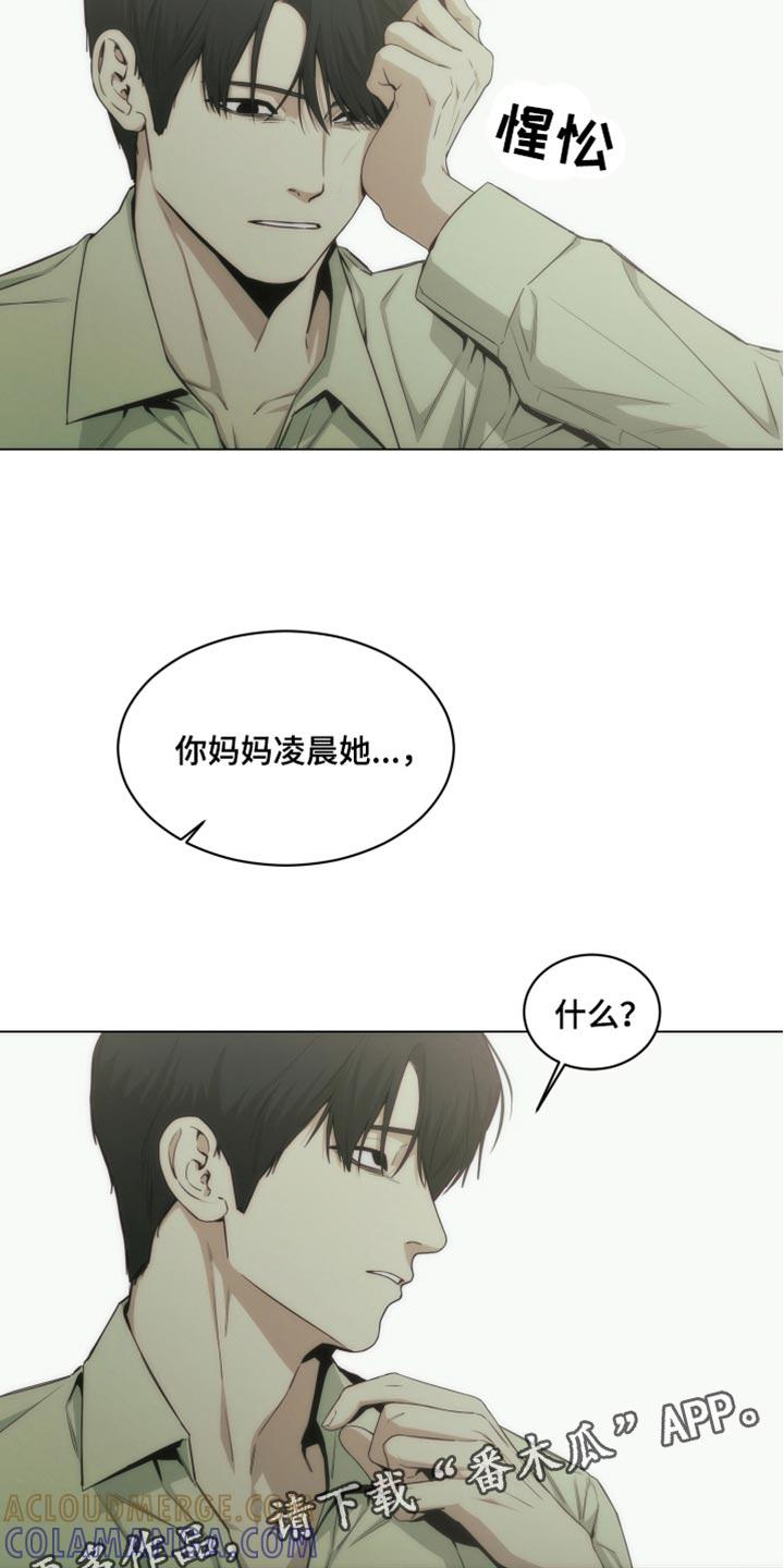 《致命诱饵》第42章：手术的疤痕 第17页