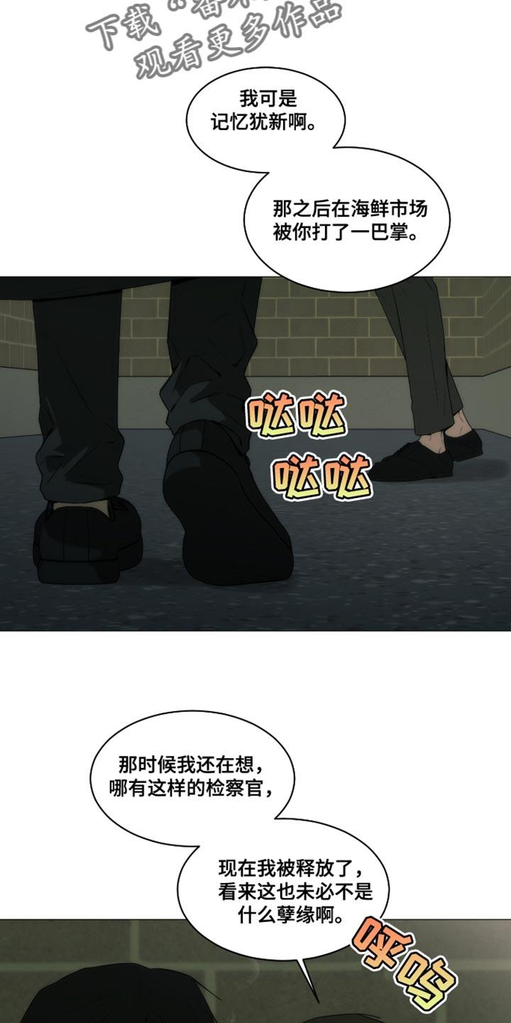 《致命诱饵》第44章：都是我骗你的 第18页