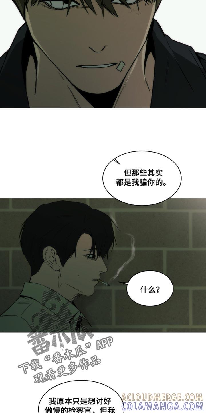 《致命诱饵》第44章：都是我骗你的 第21页