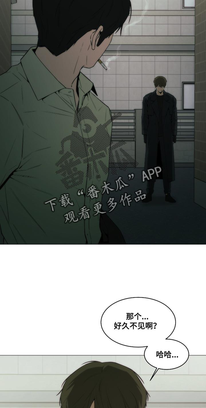 《致命诱饵》第44章：都是我骗你的 第16页