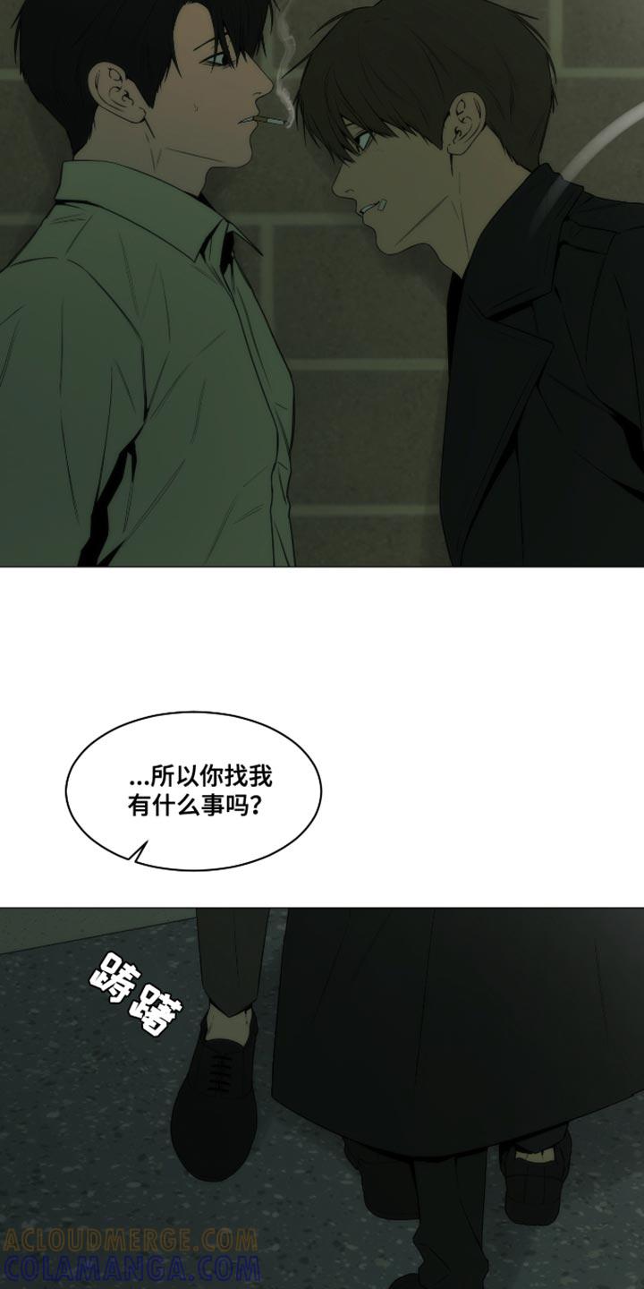 《致命诱饵》第44章：都是我骗你的 第19页