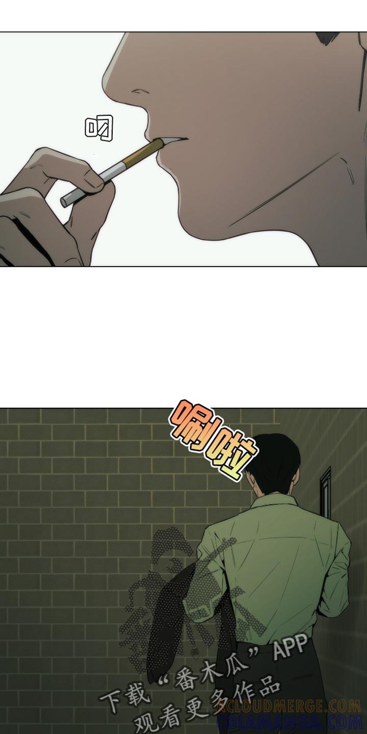 《致命诱饵》第44章：都是我骗你的 第13页