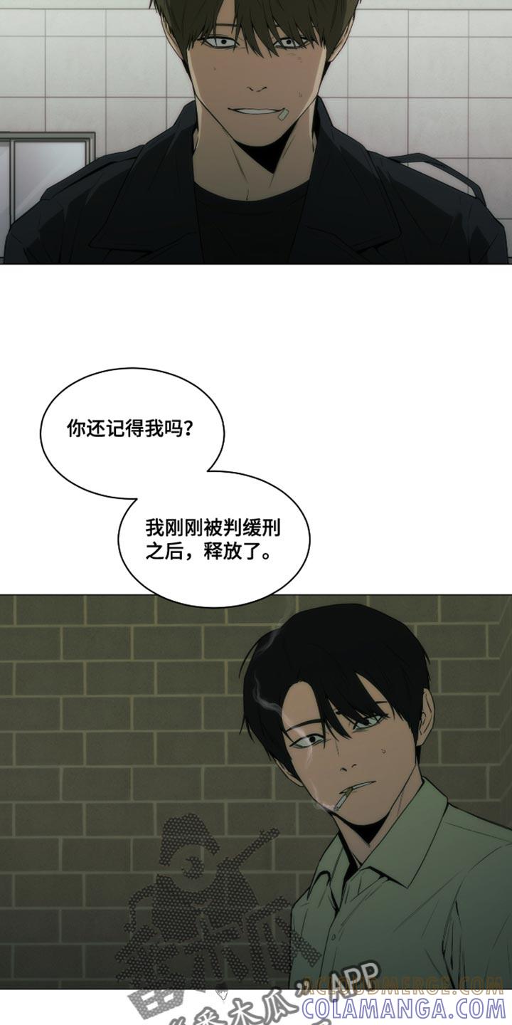 《致命诱饵》第44章：都是我骗你的 第17页
