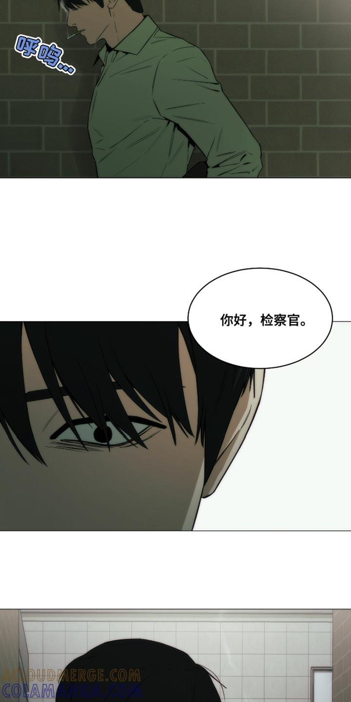 《致命诱饵》第44章：都是我骗你的 第15页