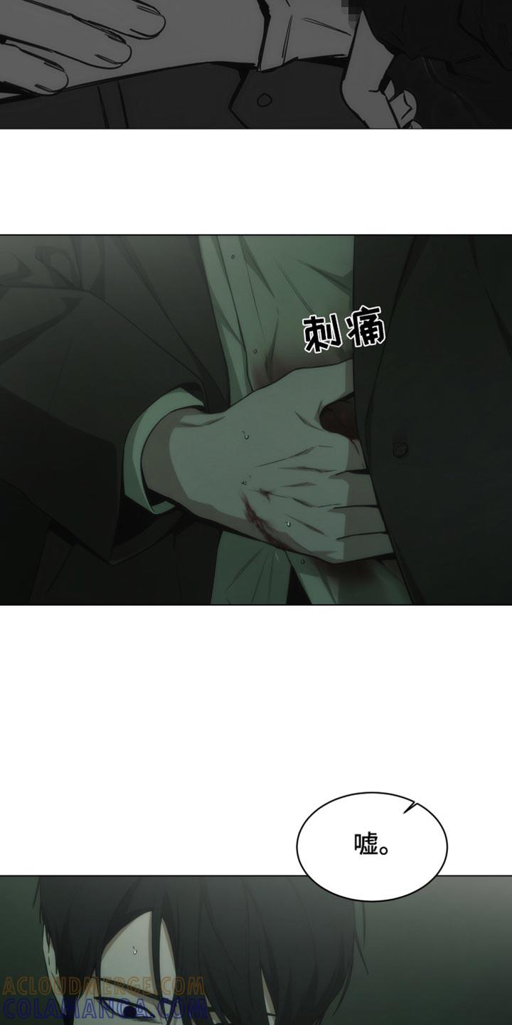 《致命诱饵》第46章：装模作样 第11页