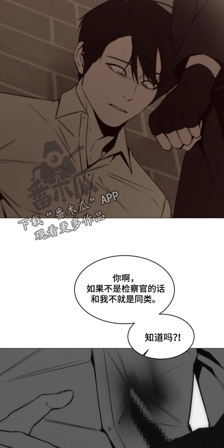 《致命诱饵》第46章：装模作样 第10页