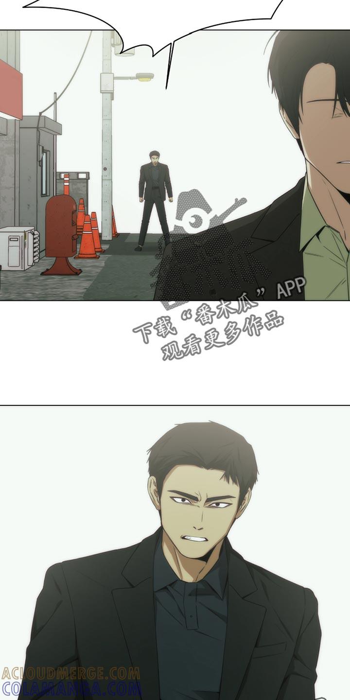 《致命诱饵》第49章：我都会尊重你的 第12页