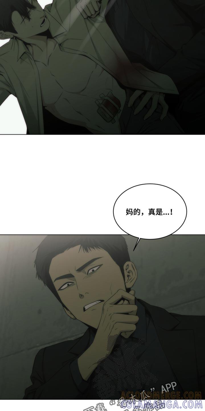 《致命诱饵》第50章：我叫你放开！ 第19页