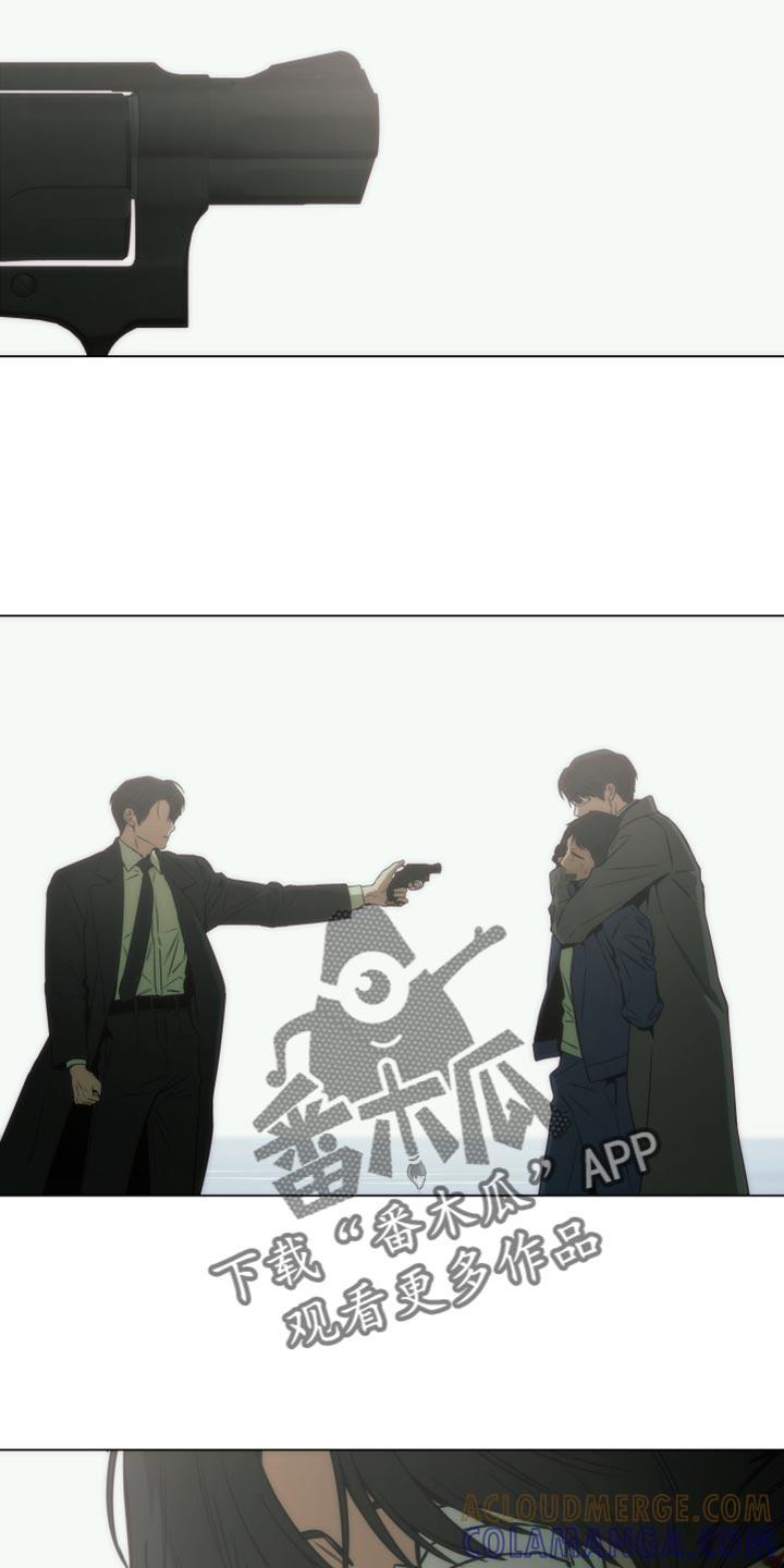 《致命诱饵》第63章：一直都是真心的 第13页
