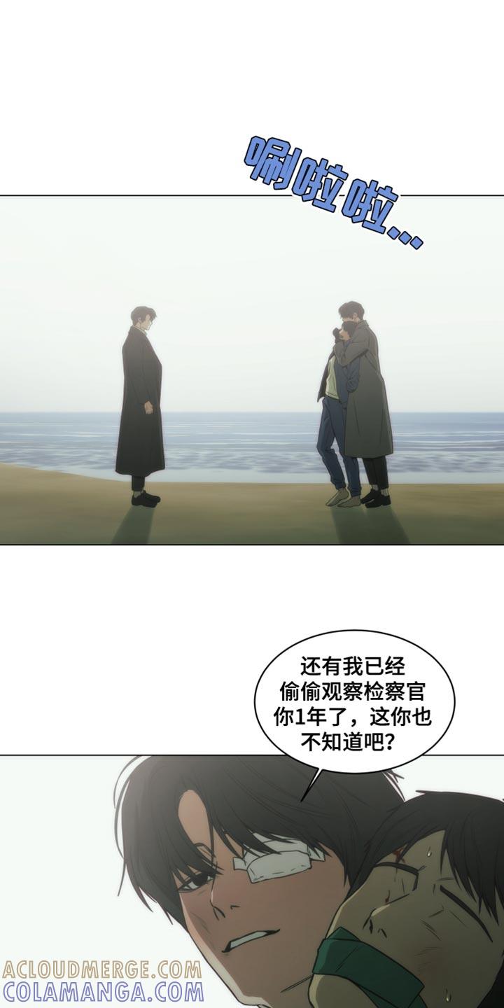 《致命诱饵》第63章：一直都是真心的 第11页
