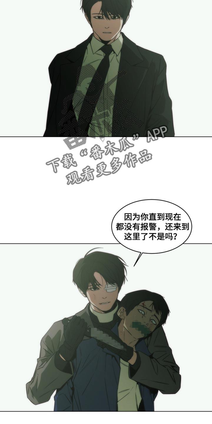 《致命诱饵》第63章：一直都是真心的 第10页