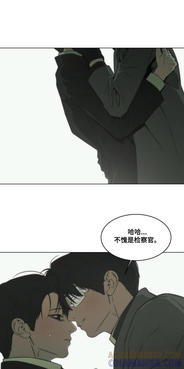 《致命诱饵》第64章：你做选择吧 第11页