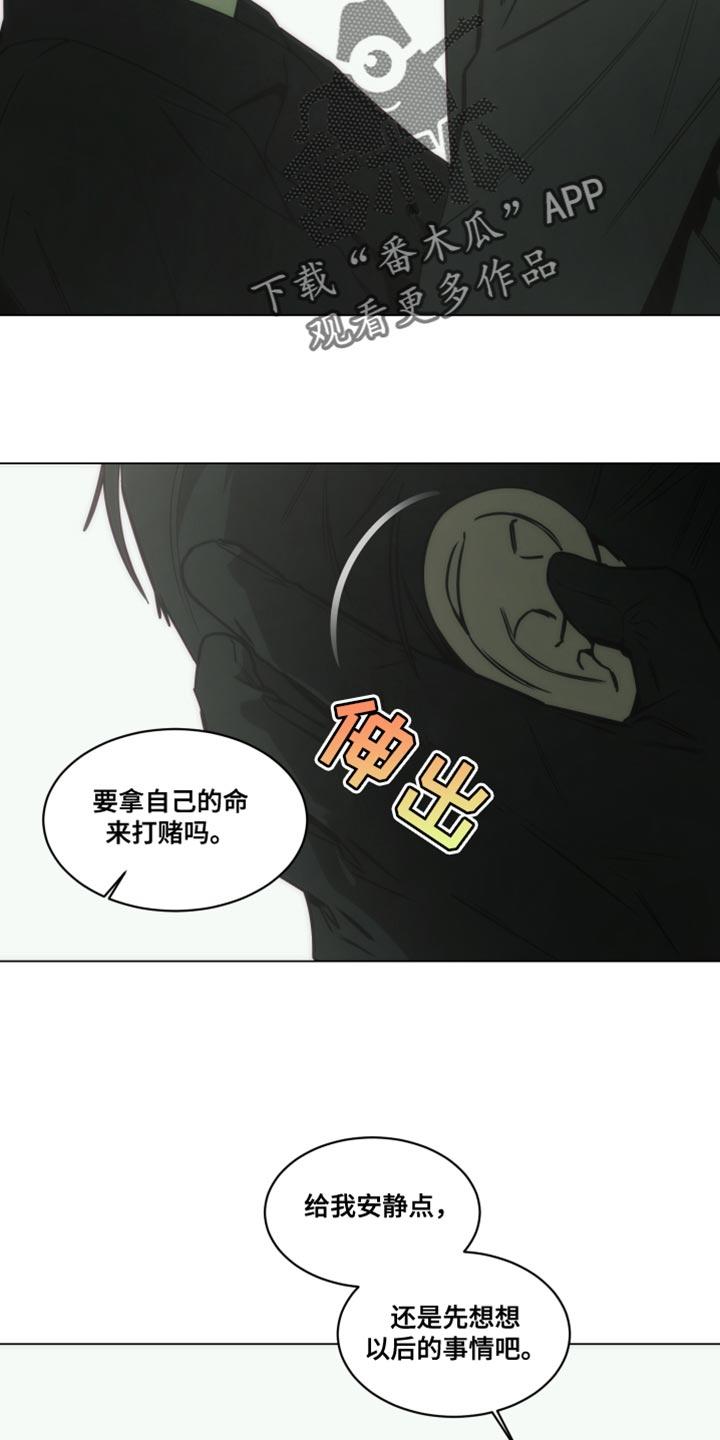 《致命诱饵》第64章：你做选择吧 第12页